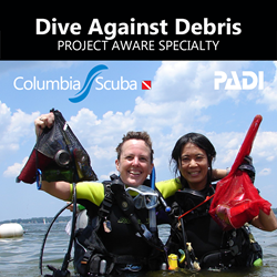 Dive Against Debris